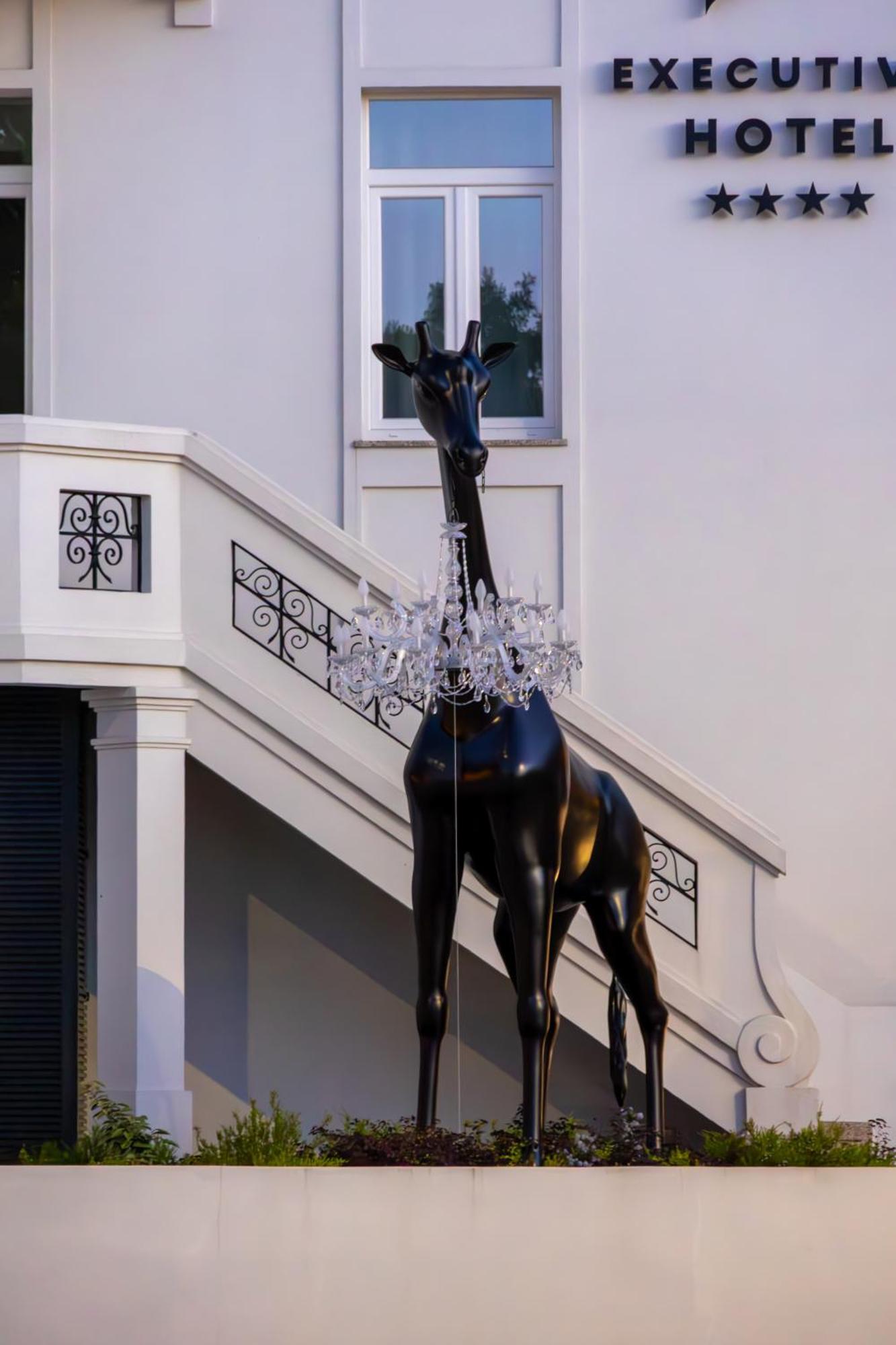 Viseu Executive Hotel Bagian luar foto